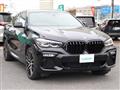 2020 BMW X6
