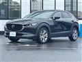 2021 Mazda CX-3