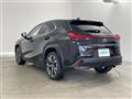2019 Lexus UX