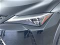 2019 Lexus UX