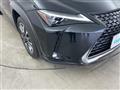 2019 Lexus UX