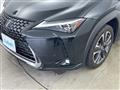 2019 Lexus UX