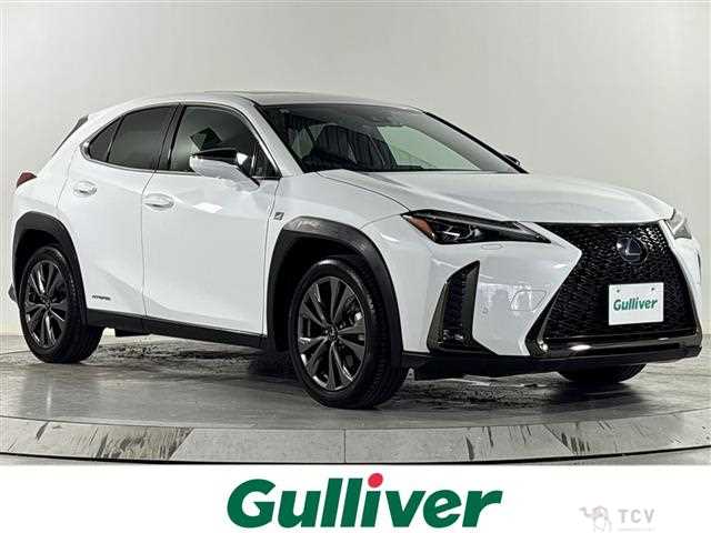 2019 Lexus UX