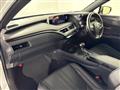 2019 Lexus UX