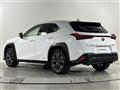 2019 Lexus UX