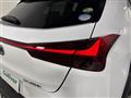 2019 Lexus UX