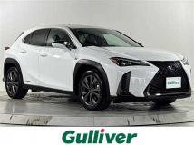 2019 Lexus UX