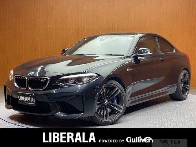 2017 BMW M Model