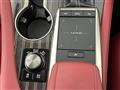 2020 Lexus RX