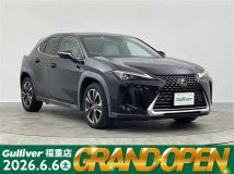 2018 Lexus UX