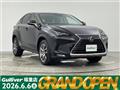 2020 Lexus NX