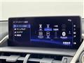 2020 Lexus NX