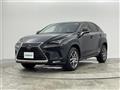 2020 Lexus NX