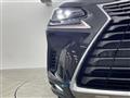2020 Lexus NX