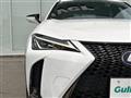 2021 Lexus UX