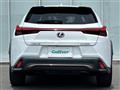 2021 Lexus UX