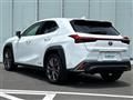 2021 Lexus UX