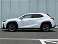 2021 Lexus UX