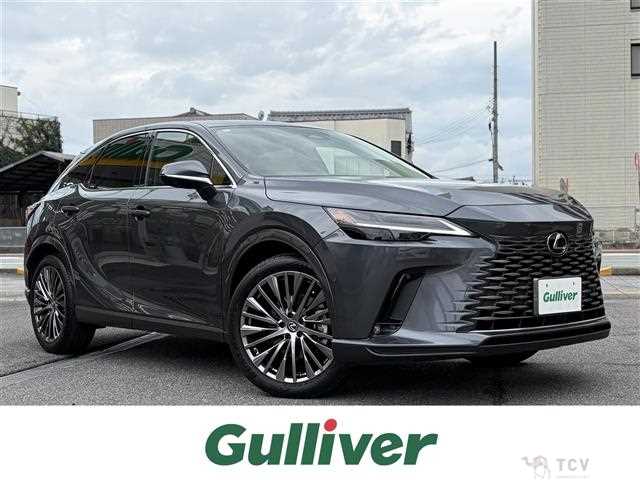 2024 Lexus RX