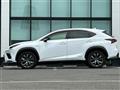 2019 Lexus NX