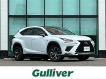 2019 Lexus NX