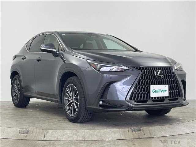 2024 Lexus NX