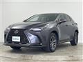 2024 Lexus NX