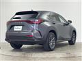 2024 Lexus NX