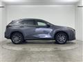2024 Lexus NX