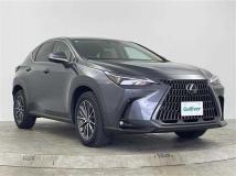 2024 Lexus NX