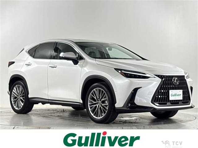 2022 Lexus NX