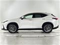 2022 Lexus NX