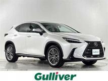 2022 Lexus NX