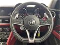 2019 Alfa Romeo Alfa Romeo Others