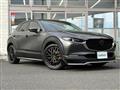 2019 Mazda CX-3