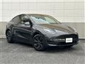 2025 Tesla Motors Others