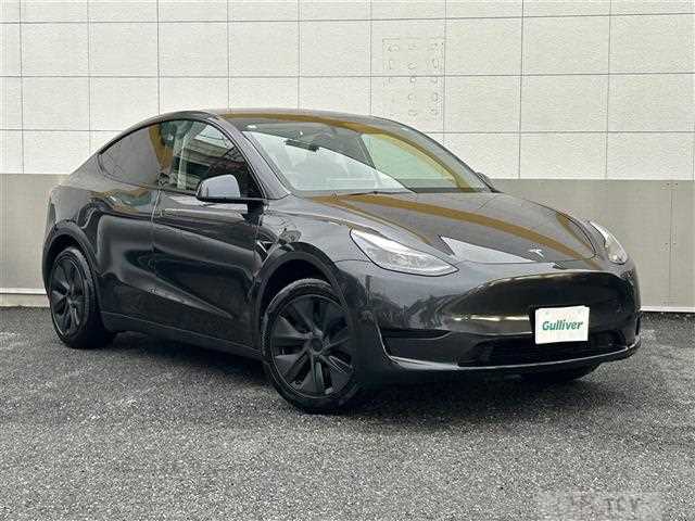 2025 Tesla Motors Others