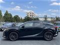 2025 Lexus RX