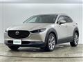 2022 Mazda CX-3