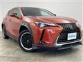 2019 Lexus UX