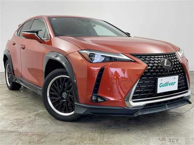 2019 Lexus UX