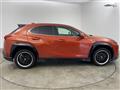 2019 Lexus UX