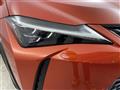 2019 Lexus UX