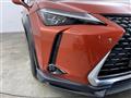2019 Lexus UX