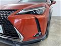 2019 Lexus UX