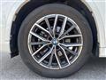 2023 BMW X1