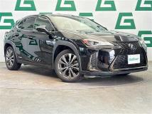 2019 Lexus UX