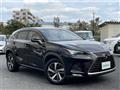2018 Lexus NX