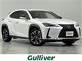 2019 Lexus UX
