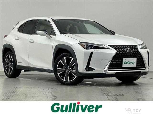 2019 Lexus UX